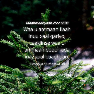 Picture 04 - Maahmaahyadii 25:2 SOM - Waa u ammaan Ilaah inuu xaal qariyo, Laakiinse - Bible Verse Picture