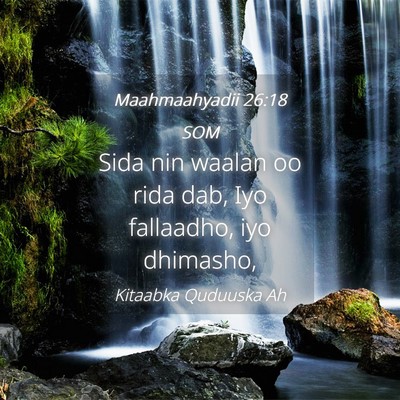 Picture 04 - Maahmaahyadii 26:18 SOM - Sida nin waalan oo rida dab, Iyo fallaadho, iyo - Bible Verse Picture