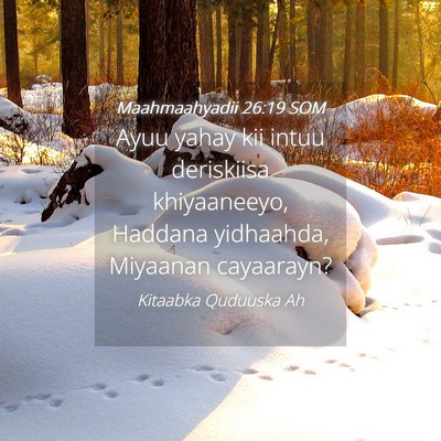 Picture 04 - Maahmaahyadii 26:19 SOM - Ayuu yahay kii intuu deriskiisa khiyaaneeyo, - Bible Verse Picture