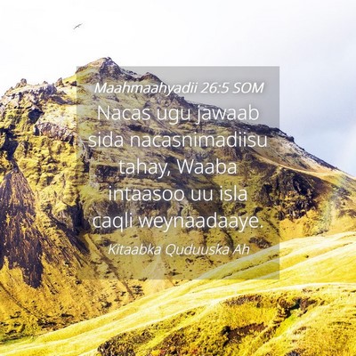 Picture 04 - Maahmaahyadii 26:5 SOM - Nacas ugu jawaab sida nacasnimadiisu tahay, Waaba - Bible Verse Picture