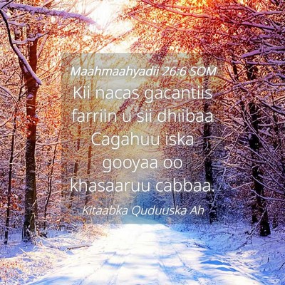 Picture 04 - Maahmaahyadii 26:6 SOM - Kii nacas gacantiis farriin u sii dhiibaa Cagahuu - Bible Verse Picture