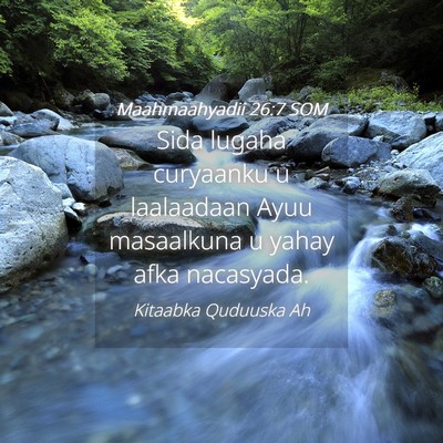 Picture 04 - Maahmaahyadii 26:7 SOM - Sida lugaha curyaanku u laalaadaan Ayuu - Bible Verse Picture