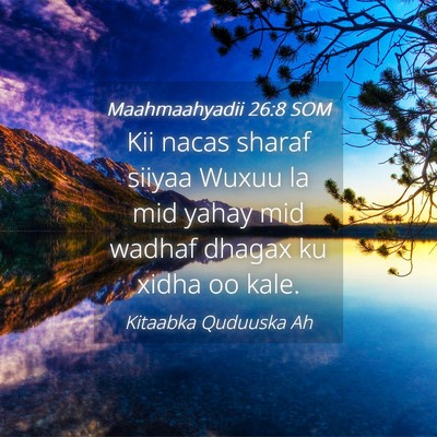 Picture 04 - Maahmaahyadii 26:8 SOM - Kii nacas sharaf siiyaa Wuxuu la mid yahay mid - Bible Verse Picture