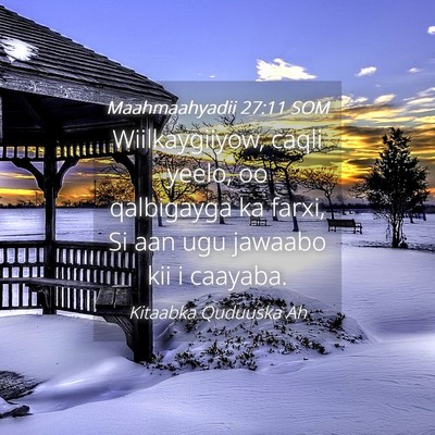 Picture 04 - Maahmaahyadii 27:11 SOM - Wiilkaygiiyow, caqli yeelo, oo qalbigayga ka - Bible Verse Picture