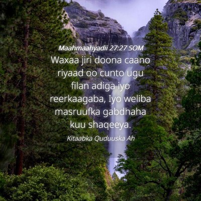 Picture 04 - Maahmaahyadii 27:27 SOM - Waxaa jiri doona caano riyaad oo cunto ugu filan - Bible Verse Picture