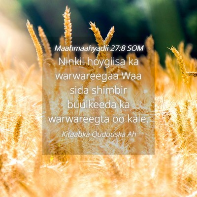 Picture 04 - Maahmaahyadii 27:8 SOM - Ninkii hoygiisa ka warwareegaa Waa sida shimbir - Bible Verse Picture