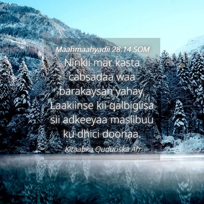 Picture 04 - Maahmaahyadii 28:14 SOM - Ninkii mar kasta cabsadaa waa barakaysan yahay, - Bible Verse Picture