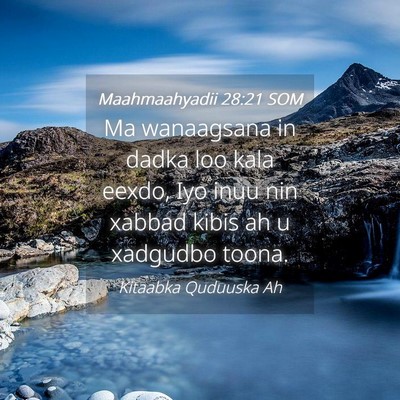 Picture 04 - Maahmaahyadii 28:21 SOM - Ma wanaagsana in dadka loo kala eexdo, Iyo inuu - Bible Verse Picture