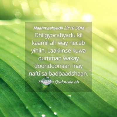 Picture 04 - Maahmaahyadii 29:10 SOM - Dhiigyocabyadu kii kaamil ah way neceb yihiin, - Bible Verse Picture