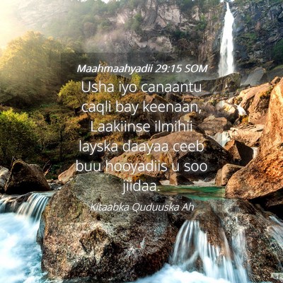Picture 04 - Maahmaahyadii 29:15 SOM - Usha iyo canaantu caqli bay keenaan, Laakiinse - Bible Verse Picture