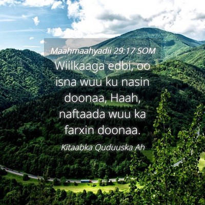 Picture 04 - Maahmaahyadii 29:17 SOM - Wiilkaaga edbi, oo isna wuu ku nasin doonaa, - Bible Verse Picture