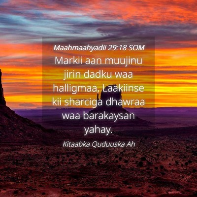 Picture 04 - Maahmaahyadii 29:18 SOM - Markii aan muujinu jirin dadku waa halligmaa, - Bible Verse Picture