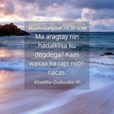 Picture 04 - Maahmaahyadii 29:20 SOM - Ma aragtay nin hadalkiisa ku degdega? Kaas waxaa - Bible Verse Picture