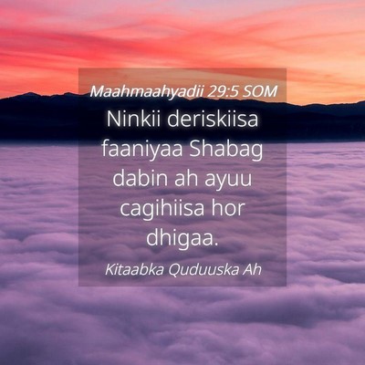 Picture 04 - Maahmaahyadii 29:5 SOM - Ninkii deriskiisa faaniyaa Shabag dabin ah ayuu - Bible Verse Picture