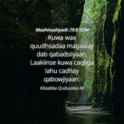 Picture 04 - Maahmaahyadii 29:8 SOM - Kuwa wax quudhsadaa magaalay dab qabadsiiyaan, - Bible Verse Picture