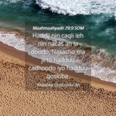Picture 04 - Maahmaahyadii 29:9 SOM - Haddii nin caqli leh nin nacas ah la doodo, - Bible Verse Picture