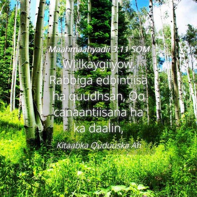 Picture 04 - Maahmaahyadii 3:11 SOM - Wiilkaygiiyow, Rabbiga edbintiisa ha quudhsan, Oo - Bible Verse Picture