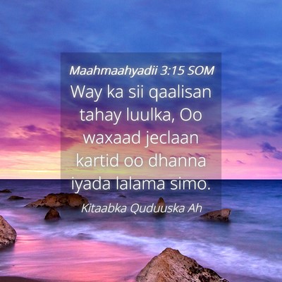 Picture 04 - Maahmaahyadii 3:15 SOM - Way ka sii qaalisan tahay luulka, Oo waxaad - Bible Verse Picture