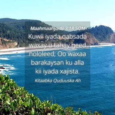 Picture 04 - Maahmaahyadii 3:18 SOM - Kuwii iyada qabsada waxay u tahay geed nololeed; - Bible Verse Picture