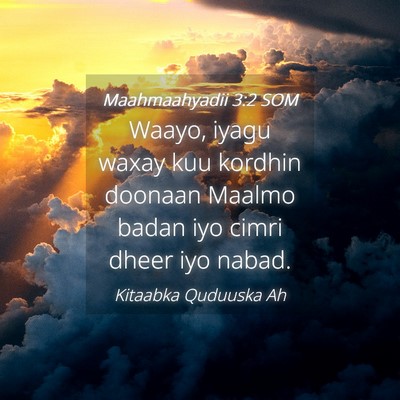 Picture 04 - Maahmaahyadii 3:2 SOM - Waayo, iyagu waxay kuu kordhin doonaan Maalmo - Bible Verse Picture