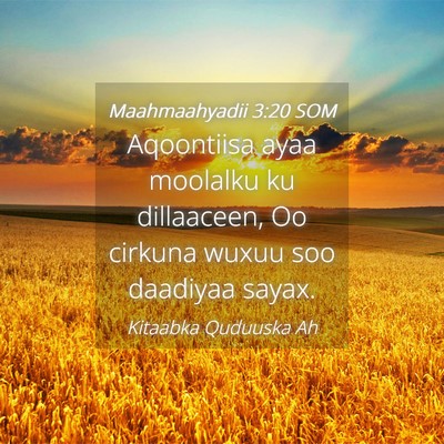 Picture 04 - Maahmaahyadii 3:20 SOM - Aqoontiisa ayaa moolalku ku dillaaceen, Oo - Bible Verse Picture
