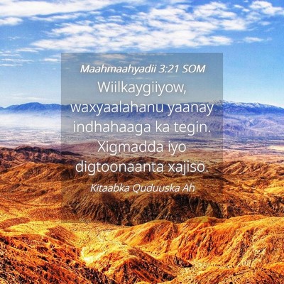 Picture 04 - Maahmaahyadii 3:21 SOM - Wiilkaygiiyow, waxyaalahanu yaanay indhahaaga ka - Bible Verse Picture