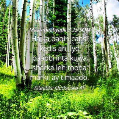 Picture 04 - Maahmaahyadii 3:25 SOM - Ha ka baqin cabsi kedis ah, Iyo baabbi'inta kuwa - Bible Verse Picture