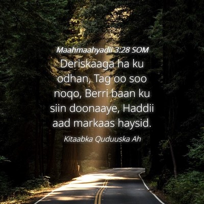 Picture 04 - Maahmaahyadii 3:28 SOM - Deriskaaga ha ku odhan, Tag oo soo noqo, Berri - Bible Verse Picture