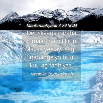 Picture 04 - Maahmaahyadii 3:29 SOM - Deriskaaga innaba xumaan ha u fikirin, Maxaa - Bible Verse Picture