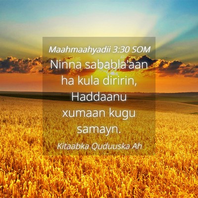 Picture 04 - Maahmaahyadii 3:30 SOM - Ninna sababla'aan ha kula diririn, Haddaanu - Bible Verse Picture