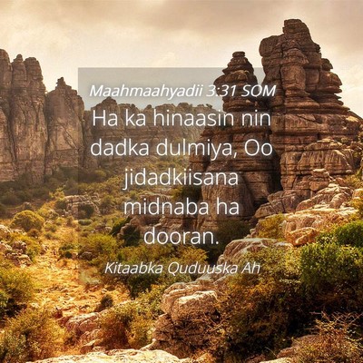 Picture 04 - Maahmaahyadii 3:31 SOM - Ha ka hinaasin nin dadka dulmiya, Oo jidadkiisana - Bible Verse Picture