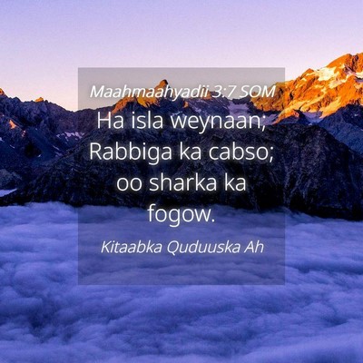 Picture 04 - Maahmaahyadii 3:7 SOM - Ha isla weynaan; Rabbiga ka cabso; oo sharka ka - Bible Verse Picture