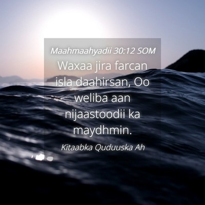 Picture 04 - Maahmaahyadii 30:12 SOM - Waxaa jira farcan isla daahirsan, Oo weliba aan - Bible Verse Picture