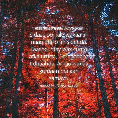Picture 04 - Maahmaahyadii 30:20 SOM - Sidaas oo kale waxaa ah naag dhillo ah sideeda, - Bible Verse Picture