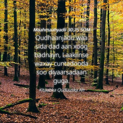 Picture 04 - Maahmaahyadii 30:25 SOM - Qudhaanjadu waa sida dad aan xoog badnayn, - Bible Verse Picture