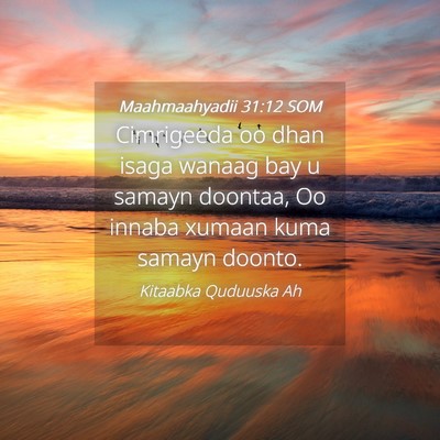 Picture 04 - Maahmaahyadii 31:12 SOM - Cimrigeeda oo dhan isaga wanaag bay u samayn - Bible Verse Picture