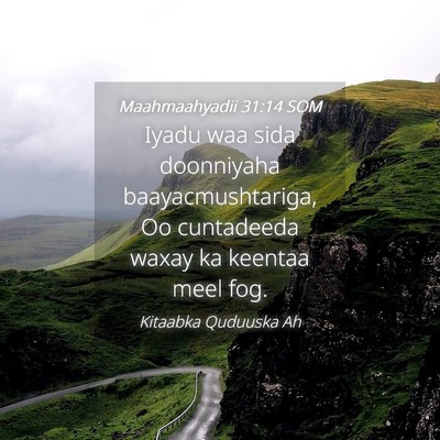 Picture 04 - Maahmaahyadii 31:14 SOM - Iyadu waa sida doonniyaha baayacmushtariga, Oo - Bible Verse Picture