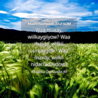 Picture 04 - Maahmaahyadii 31:2 SOM - Waa maxay, wiilkaygiiyow? Waa maxay, wiilkii - Bible Verse Picture