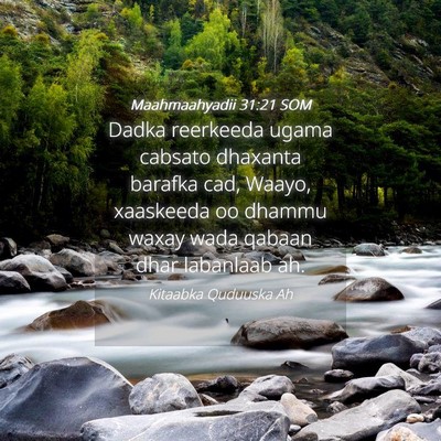 Picture 04 - Maahmaahyadii 31:21 SOM - Dadka reerkeeda ugama cabsato dhaxanta barafka - Bible Verse Picture