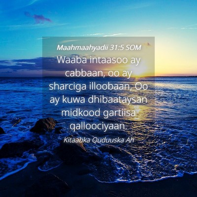 Picture 04 - Maahmaahyadii 31:5 SOM - Waaba intaasoo ay cabbaan, oo ay sharciga - Bible Verse Picture