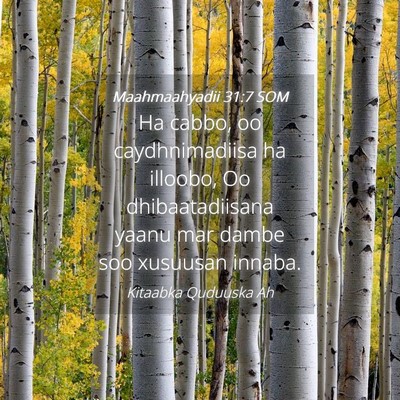 Picture 04 - Maahmaahyadii 31:7 SOM - Ha cabbo, oo caydhnimadiisa ha illoobo, Oo - Bible Verse Picture