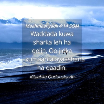 Picture 04 - Maahmaahyadii 4:14 SOM - Waddada kuwa sharka leh ha gelin, Oo jidka - Bible Verse Picture