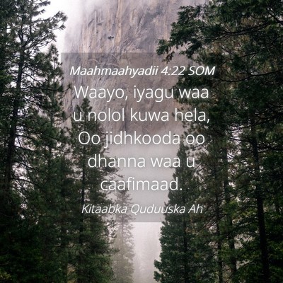 Picture 04 - Maahmaahyadii 4:22 SOM - Waayo, iyagu waa u nolol kuwa hela, Oo jidhkooda - Bible Verse Picture