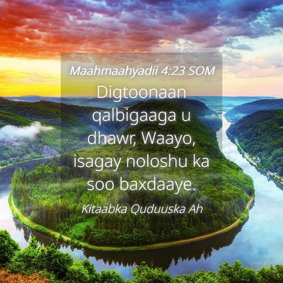 Picture 04 - Maahmaahyadii 4:23 SOM - Digtoonaan qalbigaaga u dhawr, Waayo, isagay - Bible Verse Picture