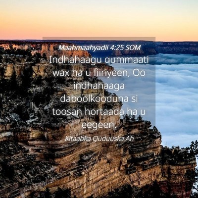 Picture 04 - Maahmaahyadii 4:25 SOM - Indhahaagu qummaati wax ha u fiiriyeen, Oo - Bible Verse Picture