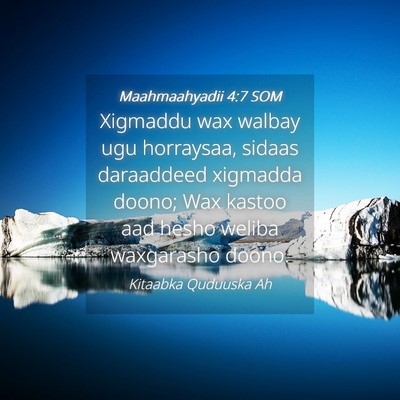 Picture 04 - Maahmaahyadii 4:7 SOM - Xigmaddu wax walbay ugu horraysaa, sidaas - Bible Verse Picture