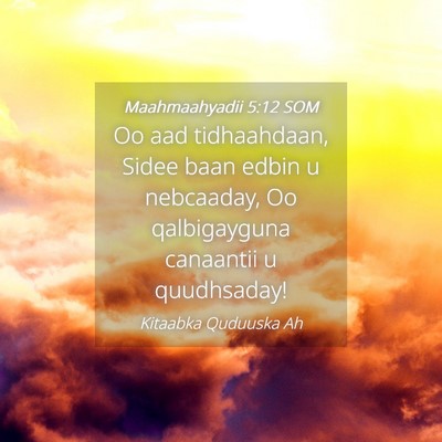 Picture 04 - Maahmaahyadii 5:12 SOM - Oo aad tidhaahdaan, Sidee baan edbin u nebcaaday, - Bible Verse Picture