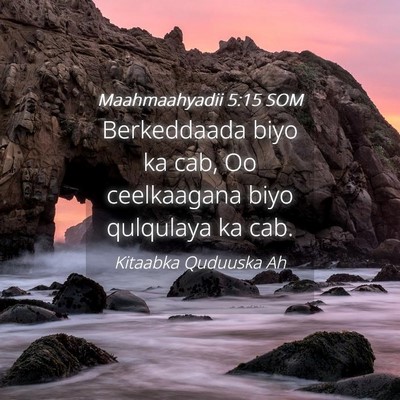 Picture 04 - Maahmaahyadii 5:15 SOM - Berkeddaada biyo ka cab, Oo ceelkaagana biyo - Bible Verse Picture