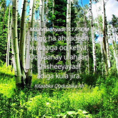 Picture 04 - Maahmaahyadii 5:17 SOM - Iyagu ha ahaadeen kuwaaga oo keliya, Oo yaanay u - Bible Verse Picture