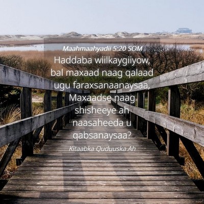 Picture 04 - Maahmaahyadii 5:20 SOM - Haddaba wiilkaygiiyow, bal maxaad naag qalaad ugu - Bible Verse Picture